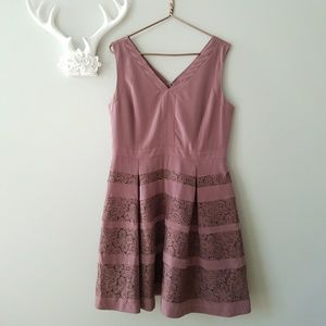 The Limited Mauve Fit & Flare Lace Inset Dress